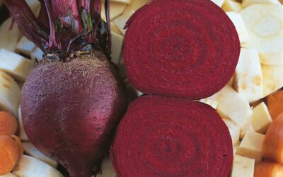 Beetroot