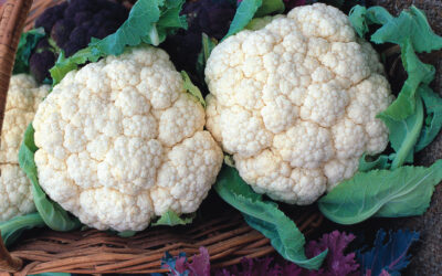 Cauliflower