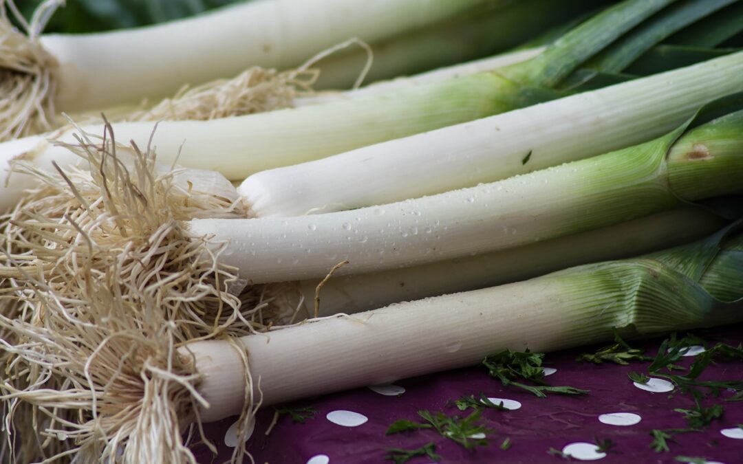 Leek