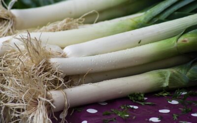 Leek