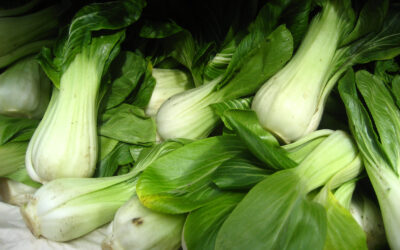 Pak Choi