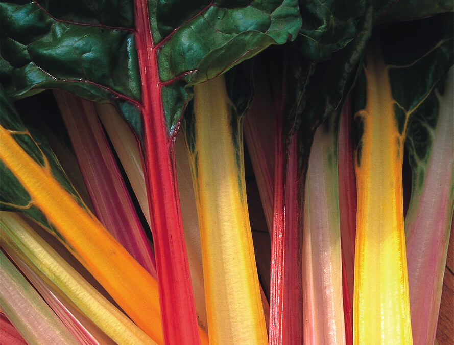 Chard
