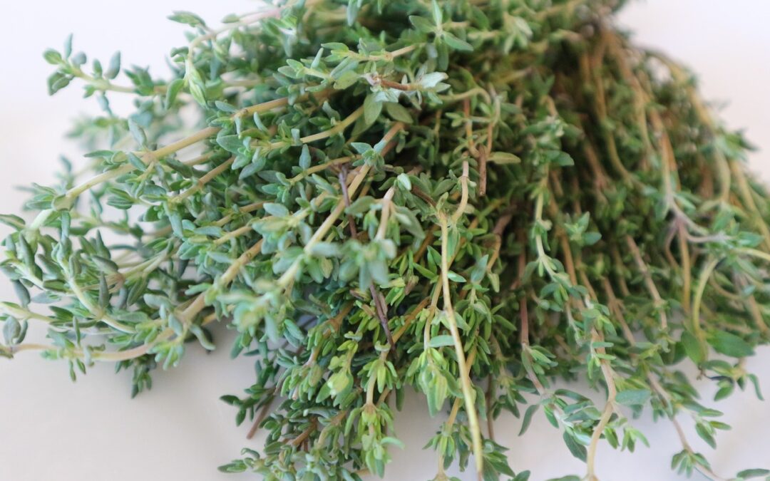 Thyme