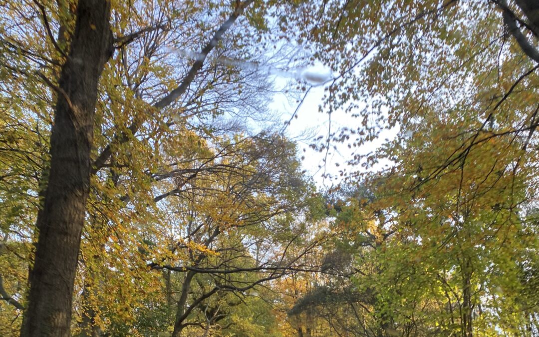 November