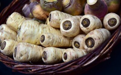 Parsnip
