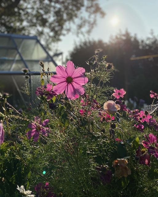 That End Of Summer Feeling