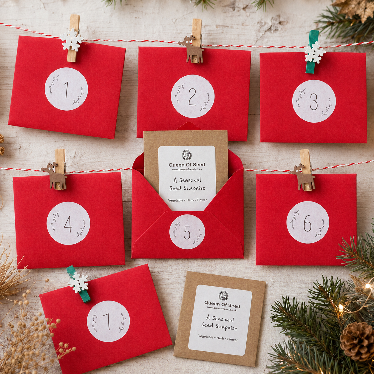 Seed Advent Calendar - Image 4