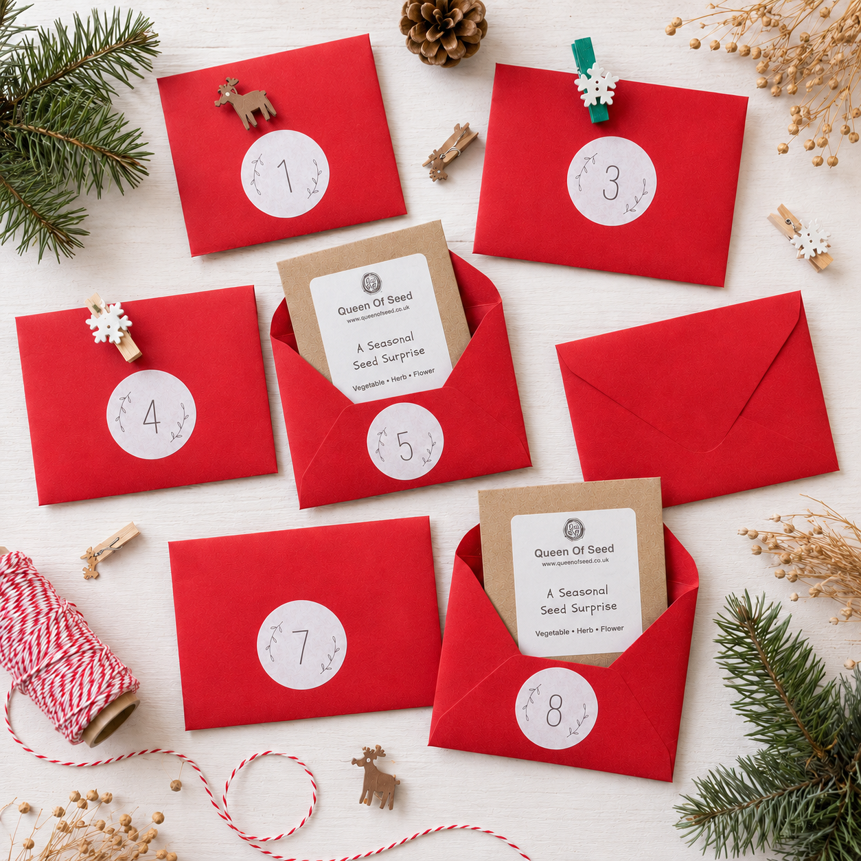 Seed Advent Calendar - Image 3