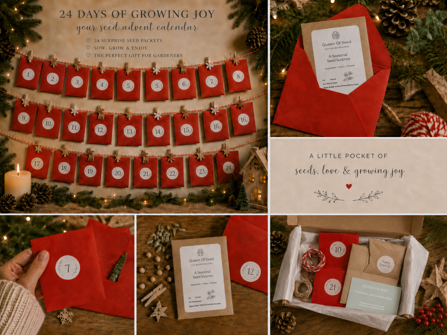 Seed Advent Calendar - Image 2