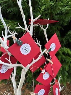 Seed Advent Calendar - Image 10