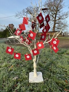 Seed Advent Calendar - Image 8