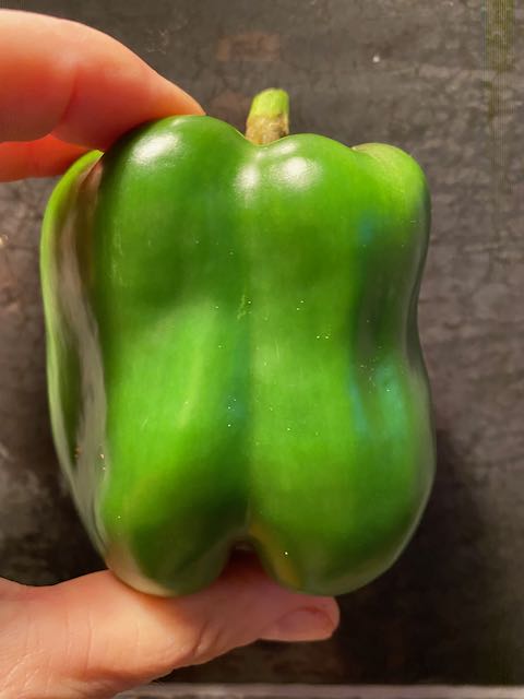Sweet Pepper - Californian Wonder