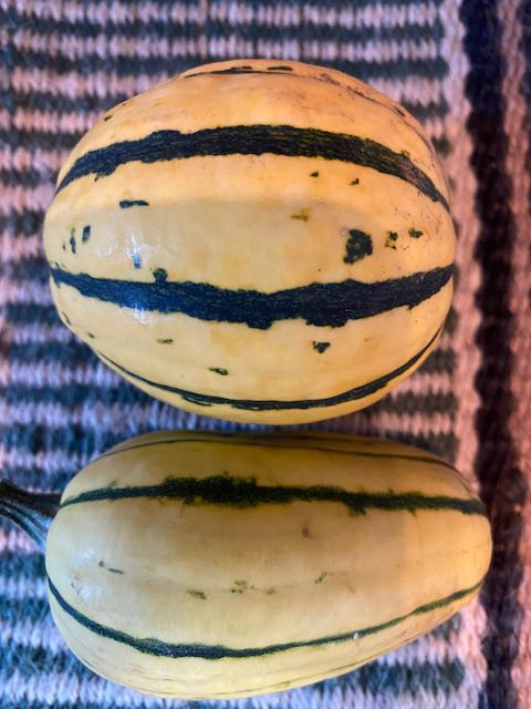 Squash - Delicata