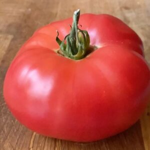 Tomato - Super Marmande
