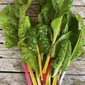 Swiss Chard 'bright lights'