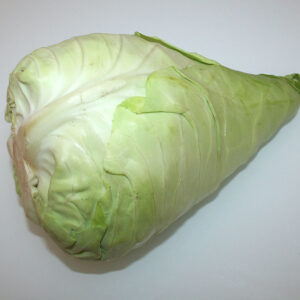Spring Cabbage