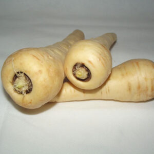 Parsnip  - White Gem