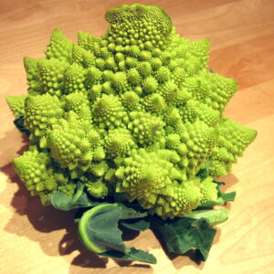 Romanesco Broccoli