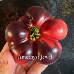 Tomato - Amethyst Jewel