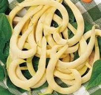 French Bean - Anelliono Giallo