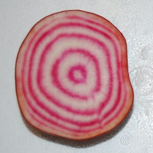 Beetroot - Chioggia