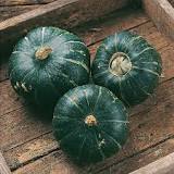 Squash - Buttercup