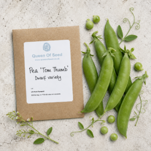 Dwarf Pea - Tom Thumb
