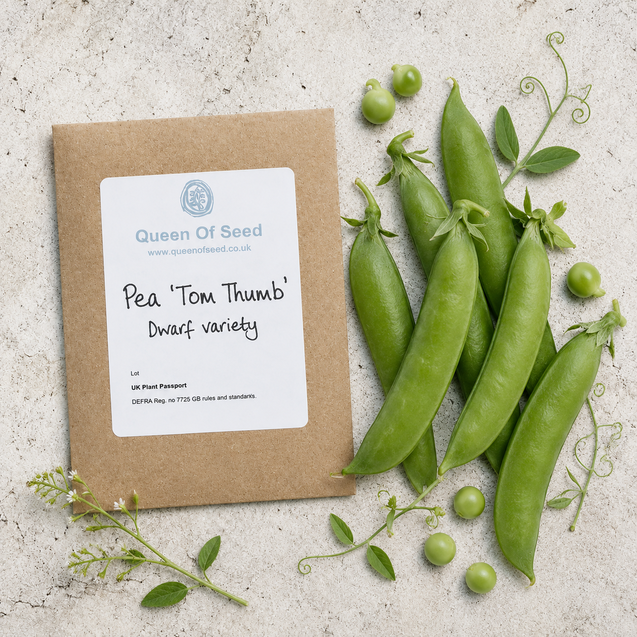 Dwarf Pea - Tom Thumb