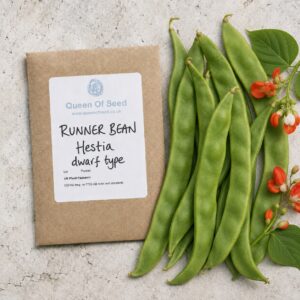 Dwarf Runner Bean - Hestia